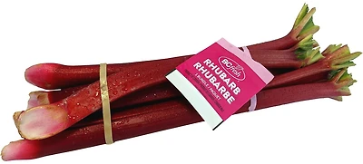 Rhubarbe fraîche Rhubarbe fraîche parée