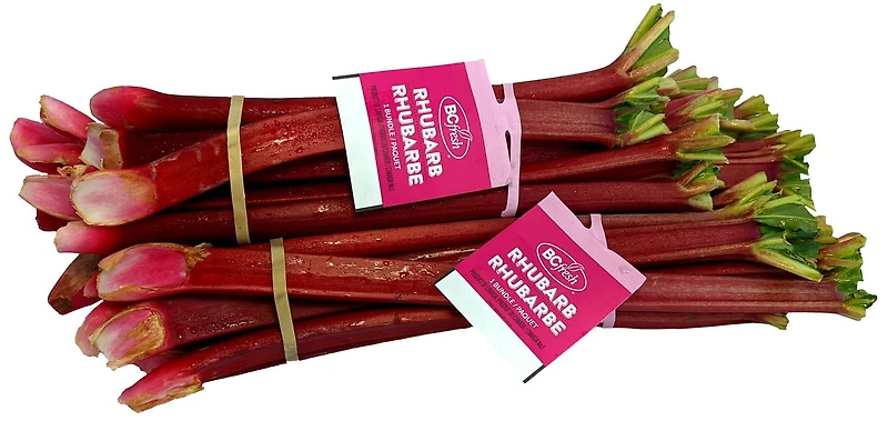 Rhubarbe fraîche Rhubarbe fraîche parée