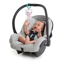 Bright Starts Daydream Blooms Activity Gym