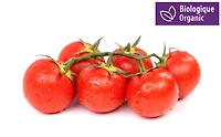 Tomates en grappe, biologiques