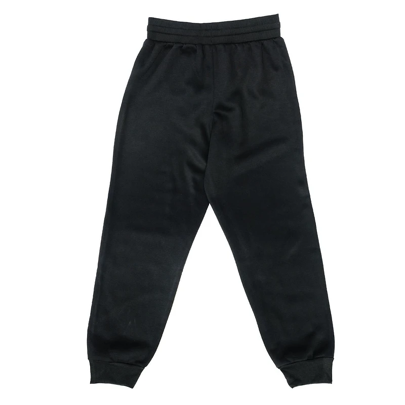 Men's Harry Potter Lion Joggers