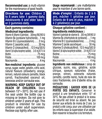 Ironkids Gummies Multivitamin -120 Gummies