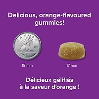 Gentle Iron Gummies