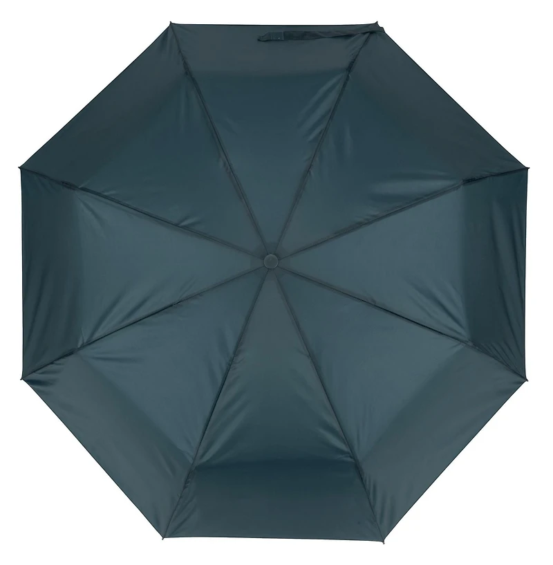 Automatic Mini Umbrella - Green, Stylish Umbrella
