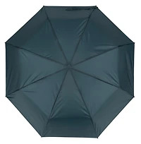 Automatic Mini Umbrella - Green, Stylish Umbrella