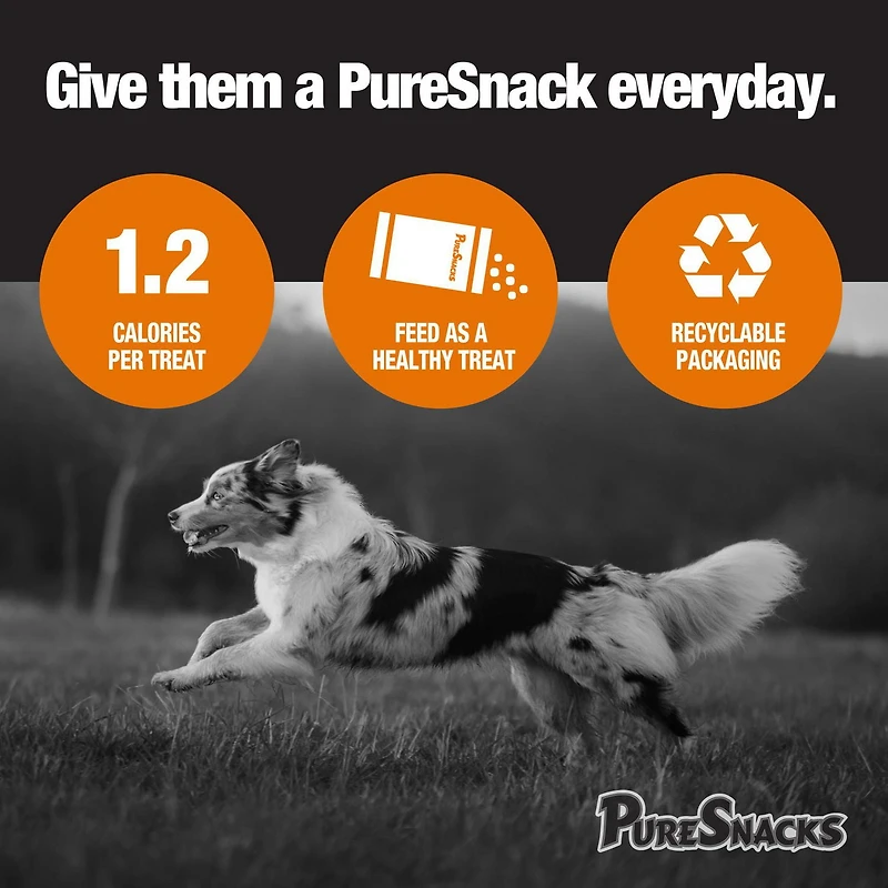 Gâteries Mini-PureSnacks au canard délicatement séchées à l’air, 396 g 396 g | 13,9 oz