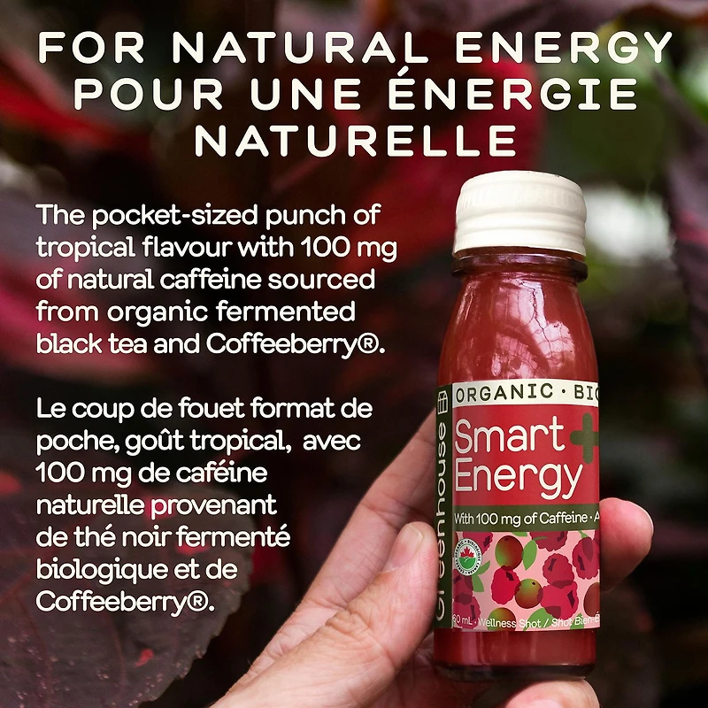 Greenhouse Organic Smart Energy Wellness Shots (4 Pack), 4 x 60 mL bottles