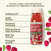 Greenhouse Organic Smart Energy Wellness Shots (4 Pack), 4 x 60 mL bottles