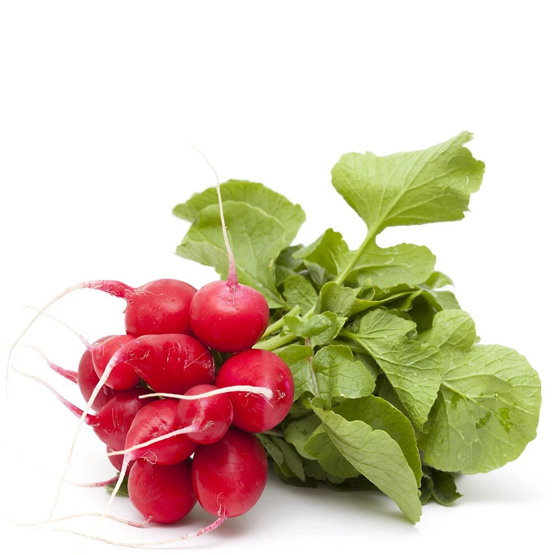 Des radis 1 lb