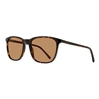 MP6007 Tortue 56