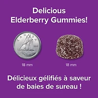 Webber Naturals Collagen30 Bioactive Collagen Peptidesᔿᒼ 2500 mg Saveur de Sureau Gélifiés Donnent à la peau une apparence lisse et saine, 110 Gelifies