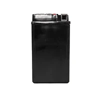 EverStart POWER SPORT ES20LBS – 12 Volts, Batterie de sport motorisé, 270 ADF EverStart – Batterie de sport motorisé