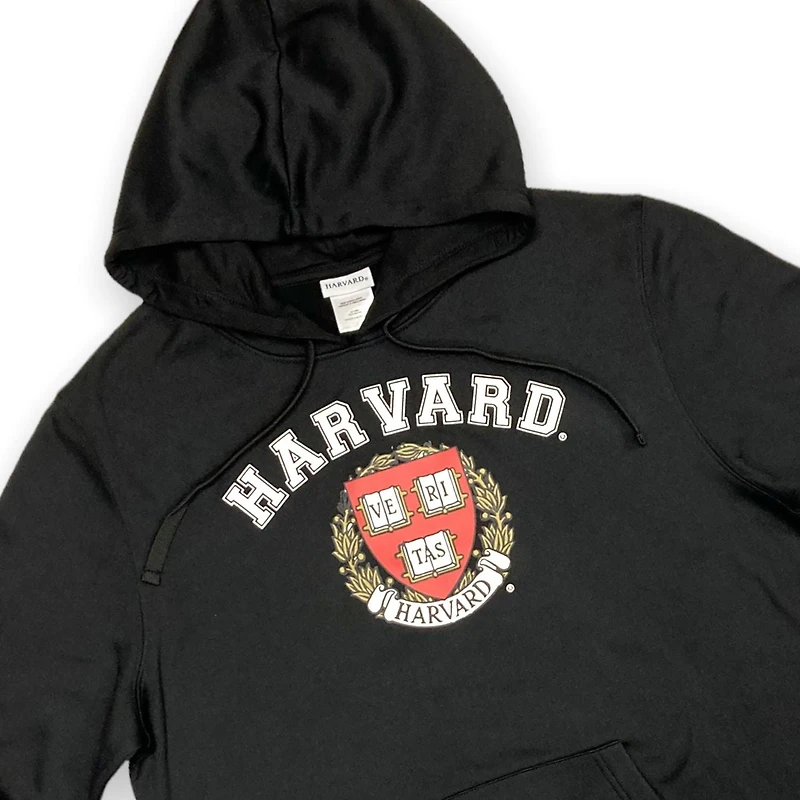 Harvard Chandail à capuchon pour homme