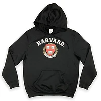 Harvard Chandail à capuchon pour homme
