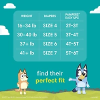 Sous-vêtements d’entraînement Pampers Easy Ups SUPER POUR GARÇONS tailles 2-6, 74-46 sous-vêtements