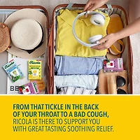 Boîte de Ricola Citron Menthe, Soulagement Naturel Pour La Gorge, Sans Sucre Ajouté