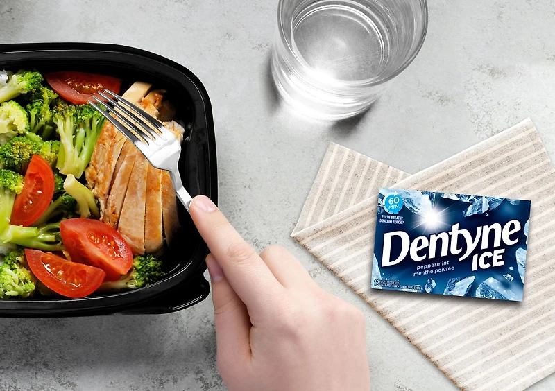 Dentyne Ice, Peppermint Sugar-free Gum Pack, 12 Pieces