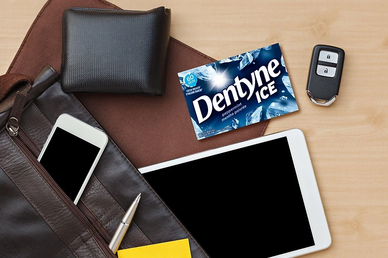 Dentyne Ice, Peppermint Sugar-free Gum Pack, 12 Pieces