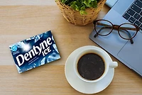 Dentyne Ice, Peppermint Sugar-free Gum Pack, 12 Pieces