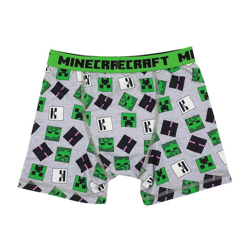 Minecraft Boys' Boxer Briefs 2-Pack - Creeper & Logo Print