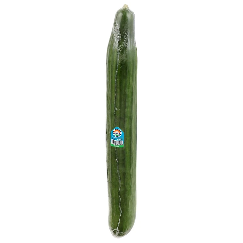 Cucumber, English, Sold in Single Wrap