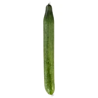 Cucumber, English, Sold in Single Wrap