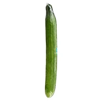 Cucumber, English, Sold in Single Wrap