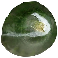 Cucumber, English, Sold in Single Wrap