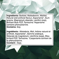 Ice Breakers Spearmint Bottle 102 pieces, 82g