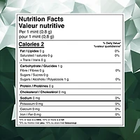 Flacon de menthes à la menthe verte ICE BREAKERS 82g