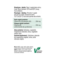 Jamieson Caplets de Vitamine B6 250 mg (Pyridoxine) 100 caplets