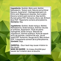 Menthes à saveur de fruits ICE BREAKERS sures, 43 g 42 g