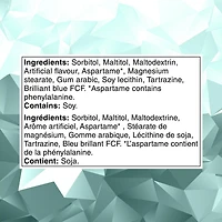 ICE BREAKERS Wintergreen Sugar Free Mints, 42 g