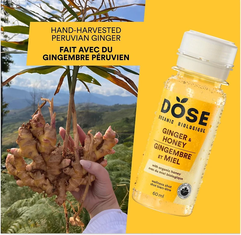 DOSE Organic Ginger and Honey shots, 4x60mL