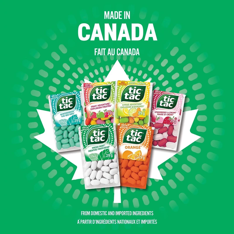 Menthes TIC TAC®,  Explosion fruitée, Bonbons à la menthe 200 pilules, 98g