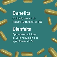 Webber Naturals® Probiotique Max anti-SII 30 milliards