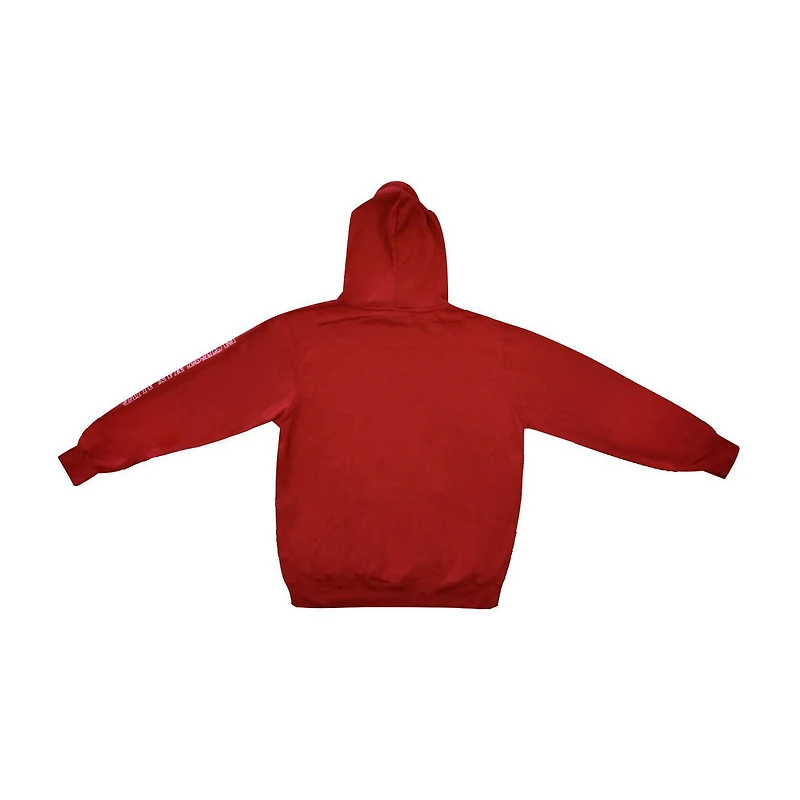 Chandail à capuchon The Flash Fastest Man Alive pour hommes