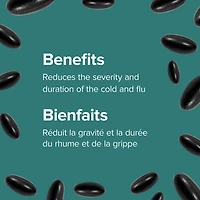 Webber Naturals® Echinacea, Full Spectrum Herb, 500 mg