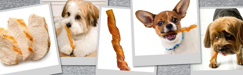 Hartz Oinkies Poulet Pig Skin Mini Twists Gaterie Pour Chiens paquet de 32