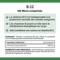 NATURE'S BOUNTY Vitamin B-12 Supplement, 2500 mcg, Quick Dissolve Tablets, Natural Cherry Flavour, Helps In Energy Metabolism, Essential In Normal Formation Of Blood Cells, 120 Tablets 120.0 count, 120 Microtablets