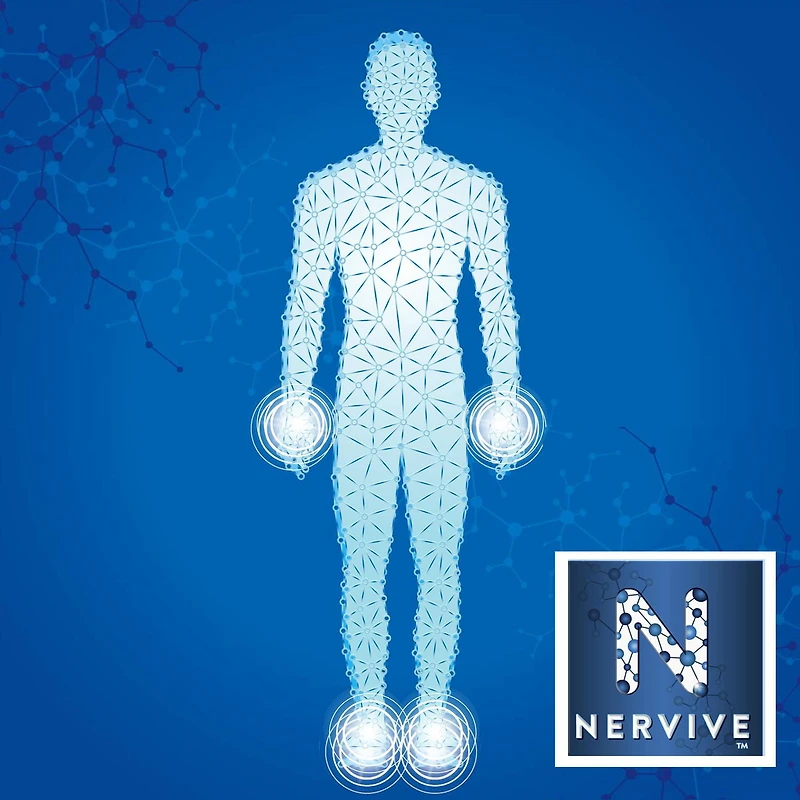 Nervive Santé des nerfs, pour le système nerveux, acide alpha-lipoïque, ALA, vitamines B1-thiamine, B6, B12, supplément de 30 jours, 30 unités