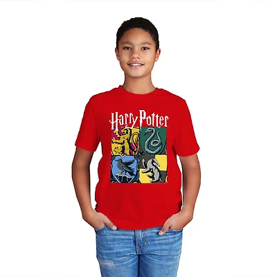 Boys Harry Potter All Houses Short Sleeve T-Shirt, Sizes: S-XL