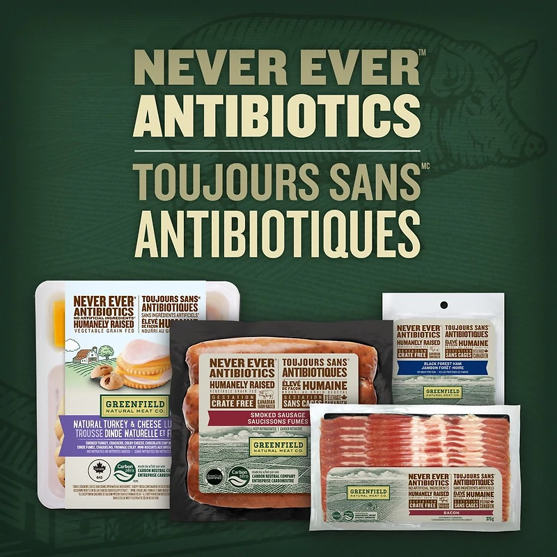 Trousse-collation fromage et dinde naturelle Greenfield Natural Meat Co 81 g