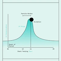 Bandelettes pour test d'ovulation Ovry® 10 épreuves