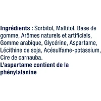 EXCEL, Winterfresh Flavoured Sugar Free Chewing Gum, 12 Pieces, 1 Pack, 4 Packs, 12 Pellets/Pack