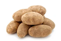 Potato Russet