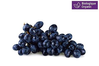 Raisins bleues biologiques