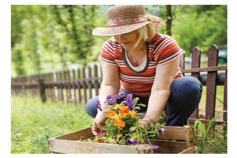 Copper Fit Elite Genouillère CF Elite Genou S/M