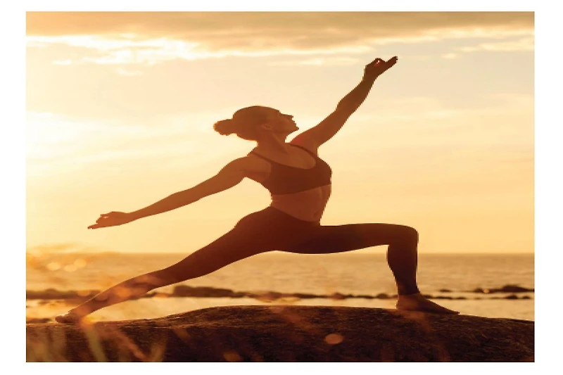 Copper Fit Elite Knee Sleeve, CF Elite Knee Sleeve S/M