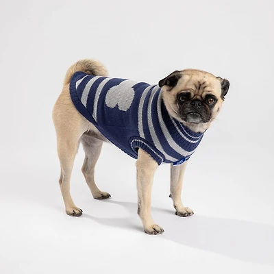 PMP sweater for dogs